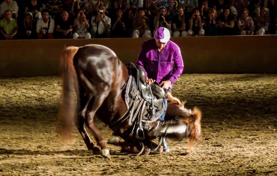 Chez Ali Dinner & Horsemen Show From Marrakech - Key points to know before you book