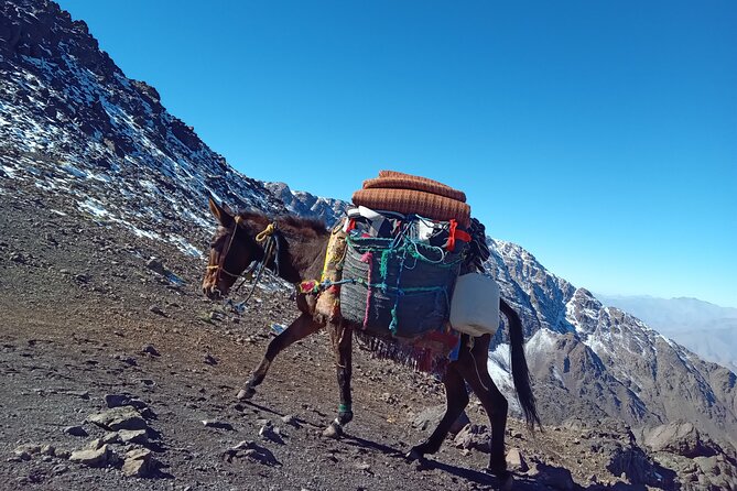 Climb Mount Toubkal 2 Days From Marrakech all Included - Practical preparation for the two days