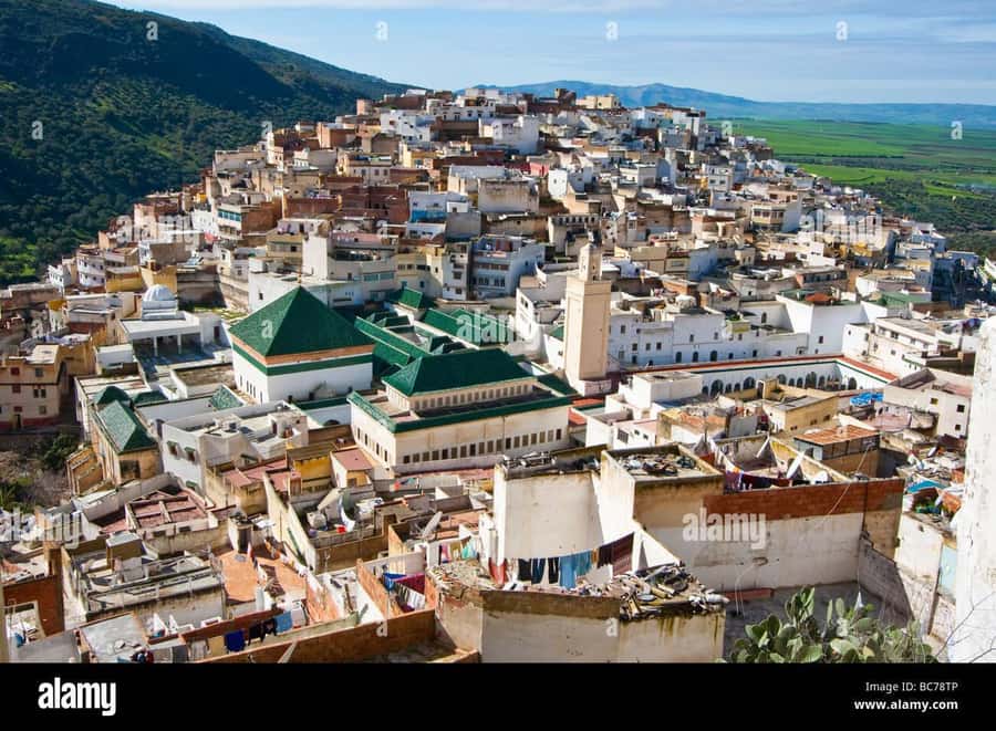 Cultural Day Trip meknes Volubilis in a Small Group OF 8 - Key points to know before booking