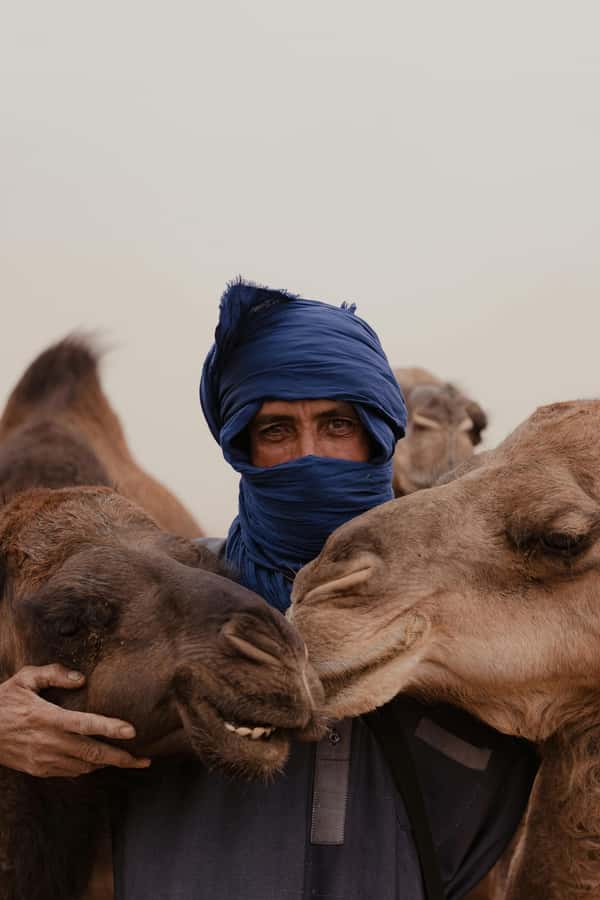 Dakhla White Dune Tour 4x4 - The 4x4 ride across the desert