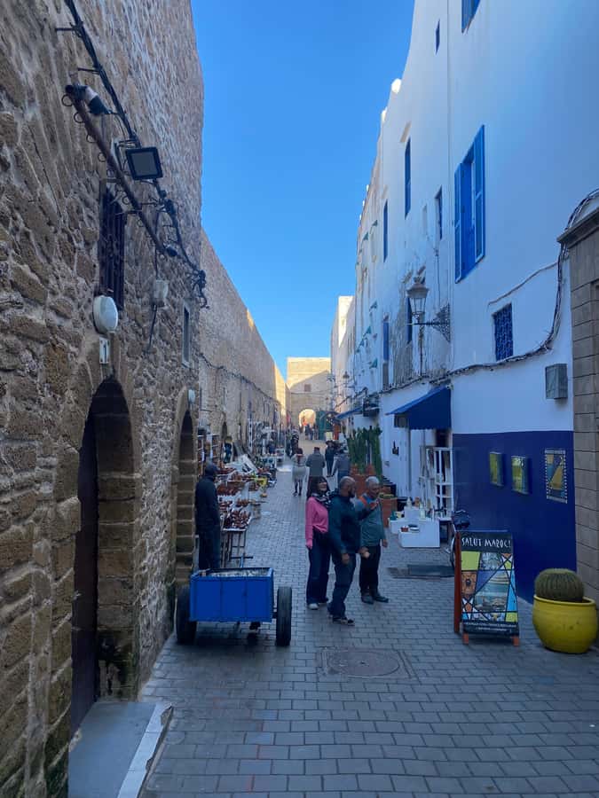 Day Excursion From Marrakech to Essaouira City - The Morning Drive From Marrakesh