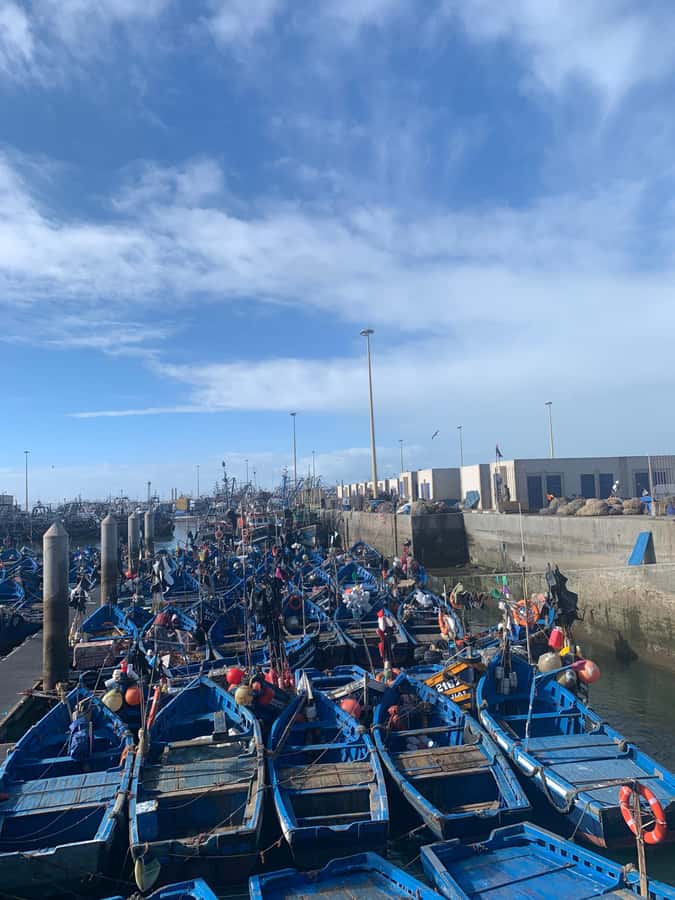 Day Excursion From Marrakech to Essaouira City - Entering Essaouira’s Medina