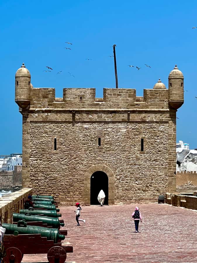 Day Excursion From Marrakech to Essaouira City - A Short Stop at the Argan Oil Cooperative