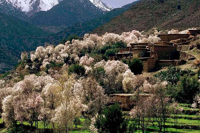 Day Excursion to Atlas Mountains from Marrakech - Key points at a glance