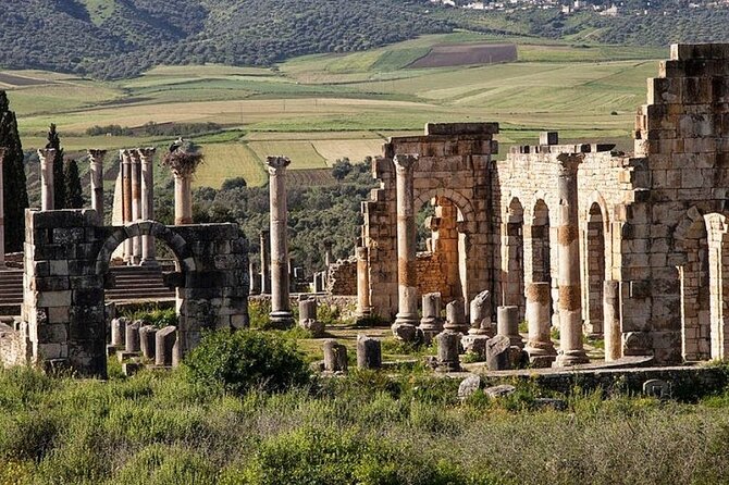 Day Tour to Volubilis & Meknes from Fes - Who should book this outing