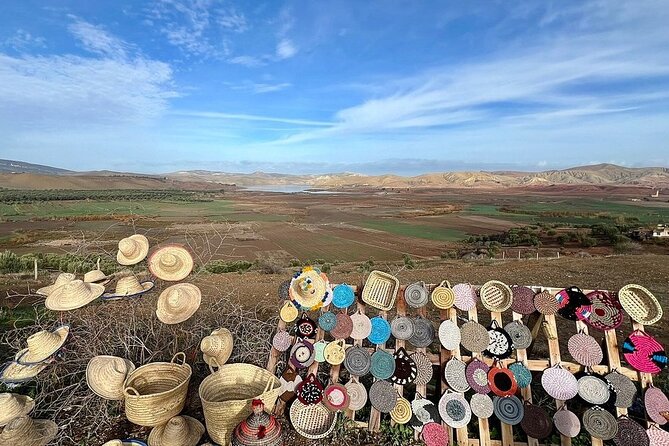 Day Tour to Volubilis & Meknes from Fes - Practical advice before you go