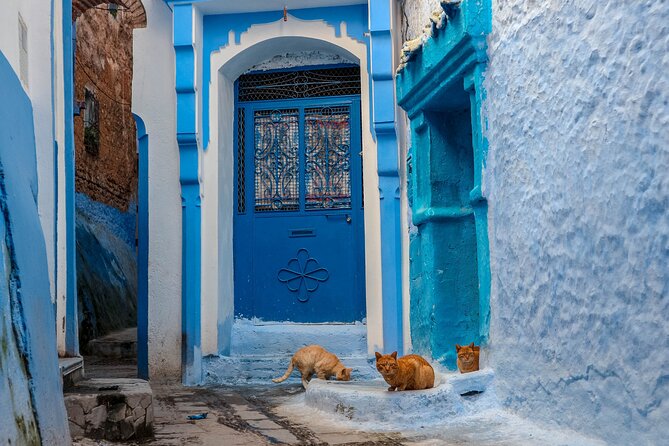 Day Trip From Fes to Chefchaouen - First look at Chefchaouen’s blue streets
