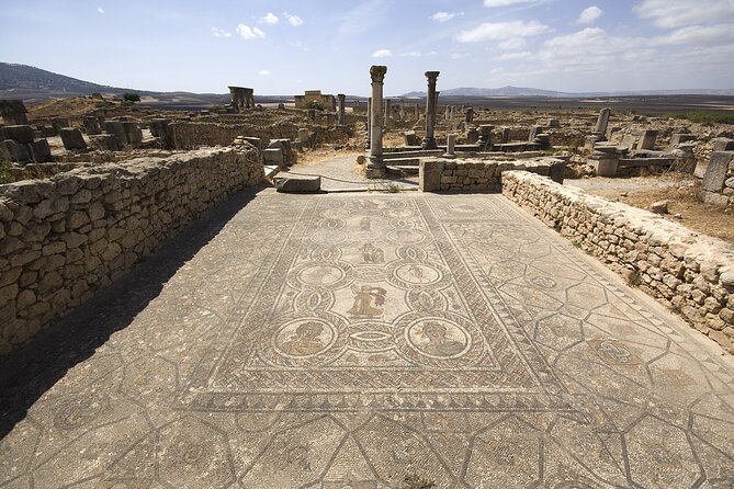 Day Trip from Fes to Meknes, Volubilis, Moulay Idriss - Transport, group size, and the real value