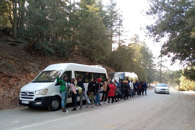 day trip from fez to middle atlas mountain - The cedar forest and an important money tip