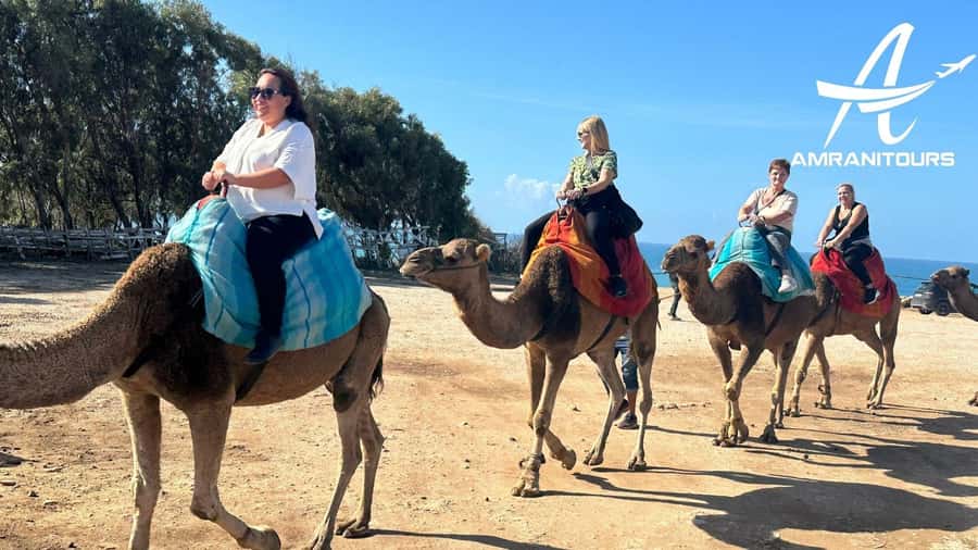 Day trip from Gibraltar to Morocco All Inclusive - Moroccan lunch and time to explore