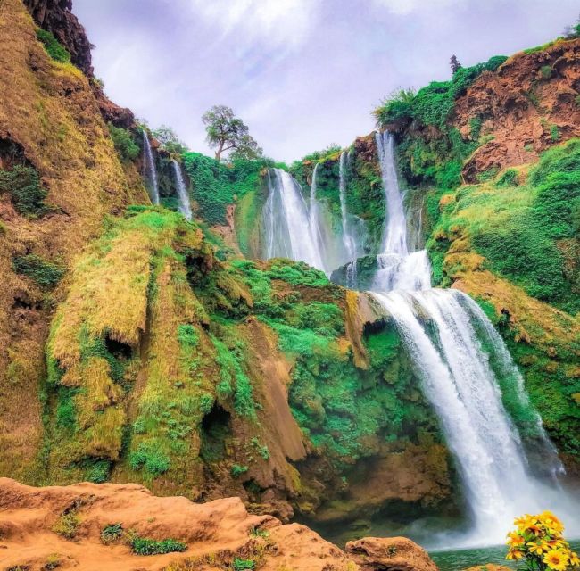 Day trip from Marrakech to Ouzoud Waterfalls - Lunch beside the waterfall paths