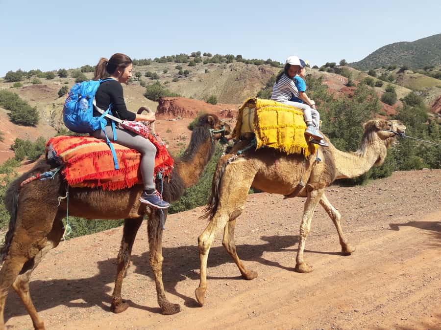 Day Trip To Atlas Mountain and Berber Village From Marrakech - What the $35 price really buys