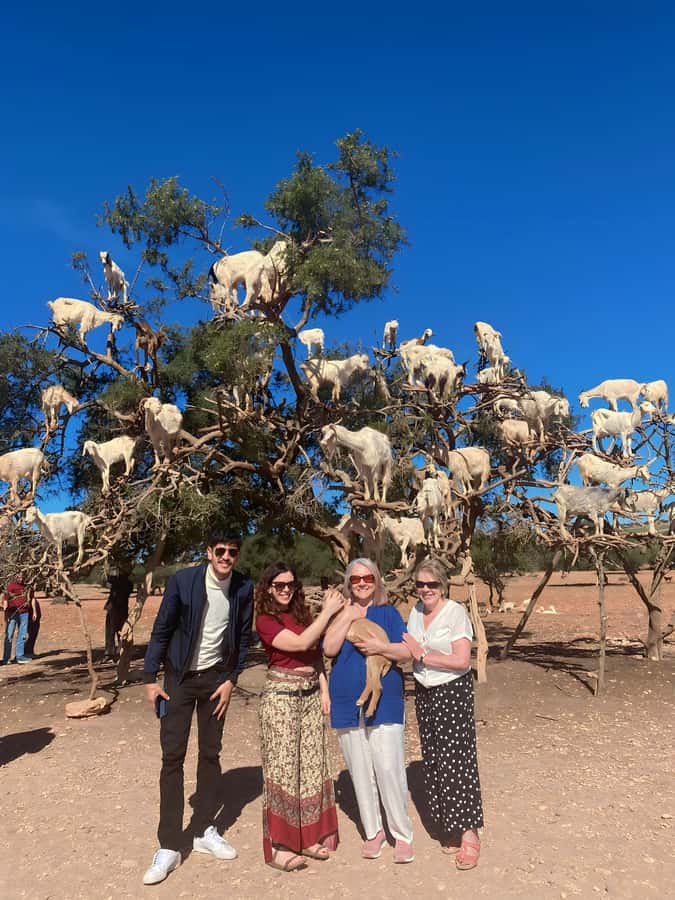 Day trip to Essaouira - Key points to know before you book