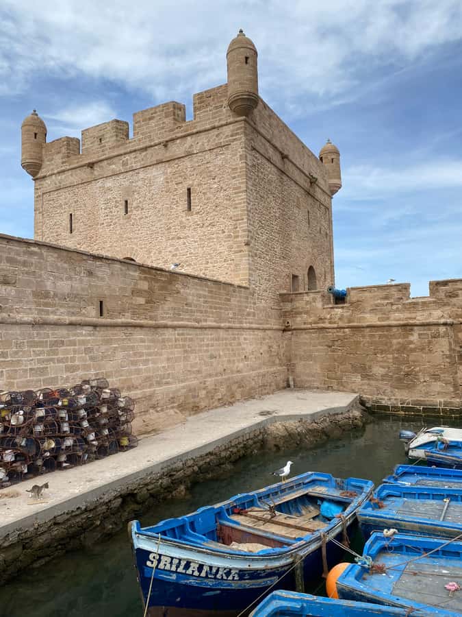 Day trip to Essaouira - Free time in the medina and souks