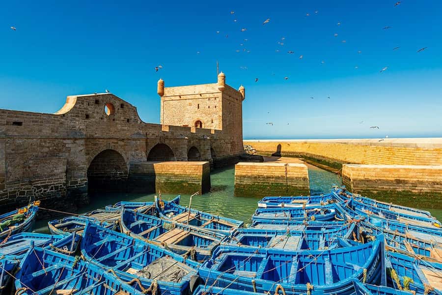Day Trip To Essaouira From Marrakech With Guide - Key points to know before booking