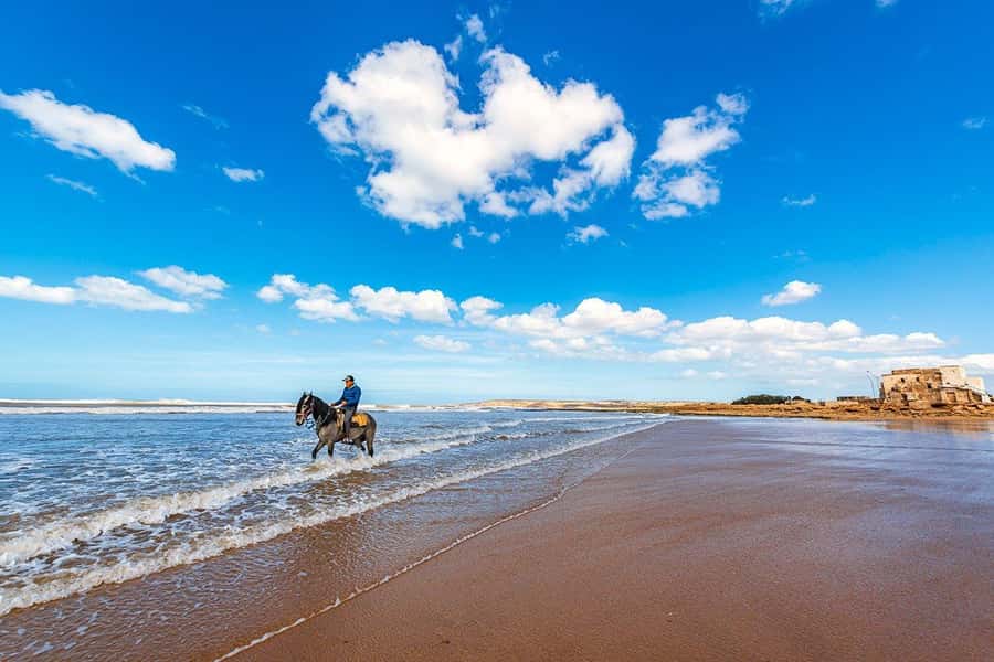 Day Trip To Essaouira From Marrakech With Guide - Four hours in town: enough or not enough?