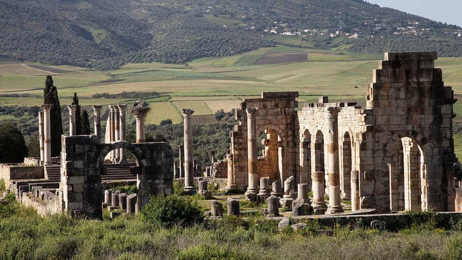 Day trip to meknes ,volubilis , moulay idris - Transport, pickup, and the role of your driver