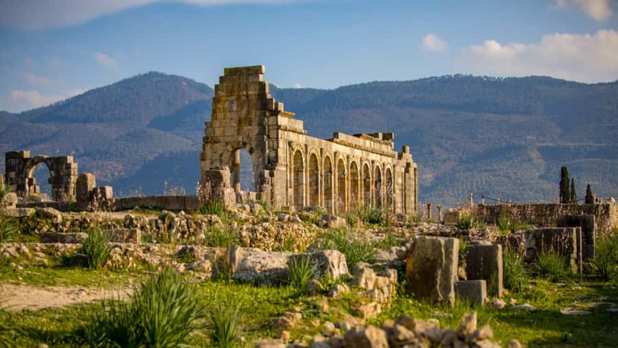Day trip to meknes ,volubilis , moulay idris - Walking through Volubilis and its Roman mosaics