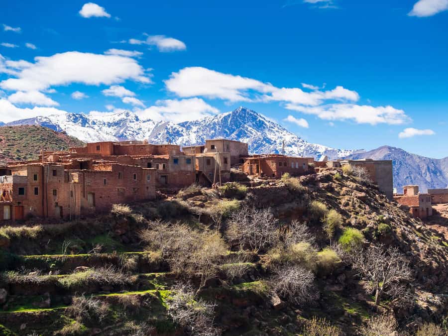 Day Trip to Ourika Valley & Atlas Mountains with Lunch - Booking details worth checking