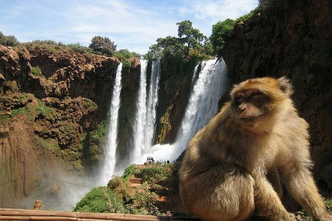 Day Trip To Ouzoud Waterfalls (Guide Hike & Boat are options) - Is $18.54 Good Value?