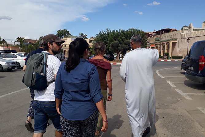 Day trip to Volubilis - Moulay Idriss & Meknes From Fes - Walking, group size, and independence