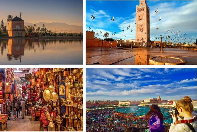 Day Trips from Agadir to Marrakech with Amazing guide - The guide and the group setup