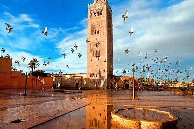 Day Trips from Agadir to Marrakech with Amazing guide - The early road from Agadir