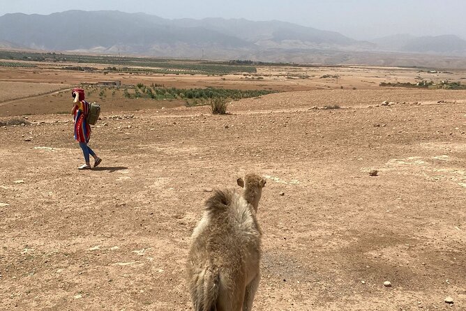 Desert Agafay and Atlas Mountains Day Tour & Camel ride From Marrakech - Imlil, Aroumd, and Berber village life