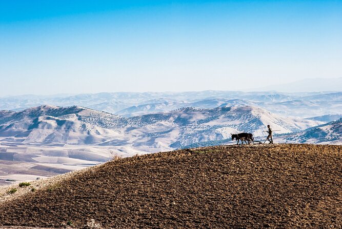 Desert Agafay & Atlas Mountains, Valleys & Waterfalls Tour from Marrakech - Camel riding with the Atlas Mountains in view