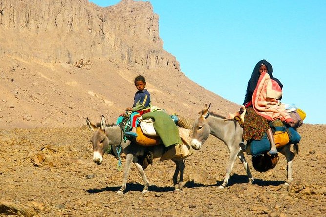 Desert Agafay & Atlas Mountains, Valleys & Waterfalls Tour from Marrakech - The walk to Imlil Waterfall