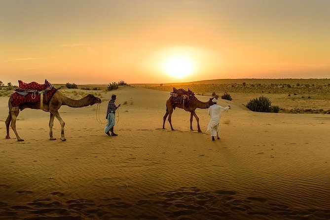 Desert Agafay & Atlas Mountains, Valleys & Waterfalls Tour from Marrakech - Argan oil and the women’s cooperative