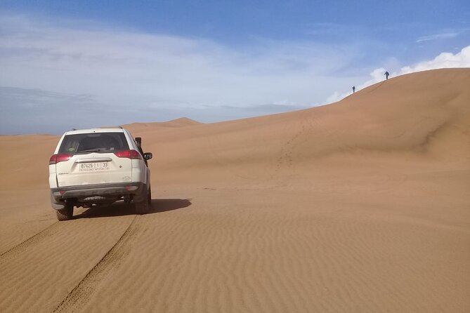 Desert and Ocean Private Day Tour - The Massa River explains the green patches