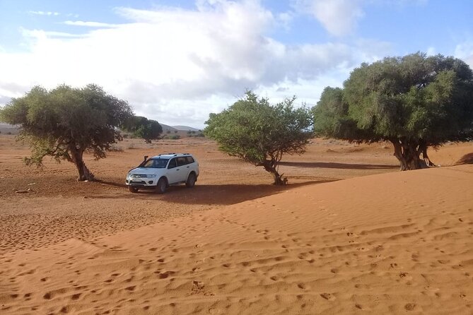 Desert and Ocean Private Day Tour - The dam puts the whole region into context