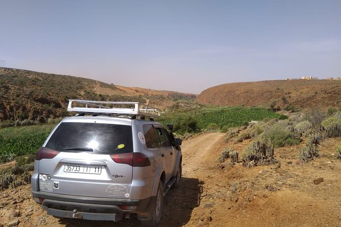Desert and Ocean Private Day Tour - What the private format is really worth