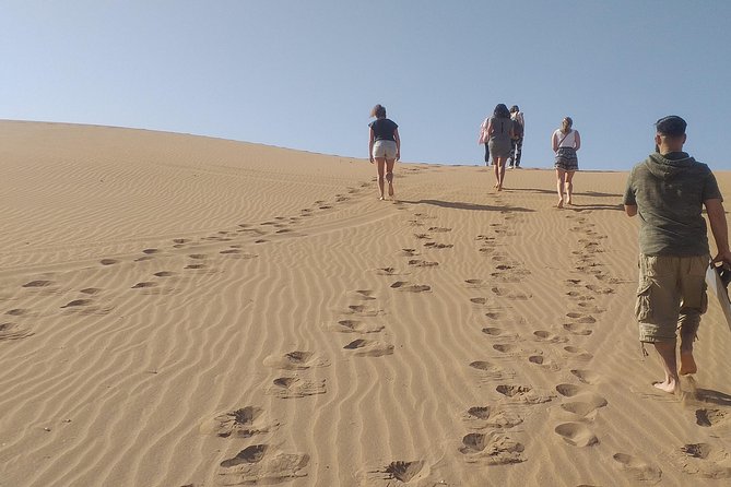 Desert and Wild Beach Day Trip with Meal - From Agadir to the Anti-Atlas by 4x4