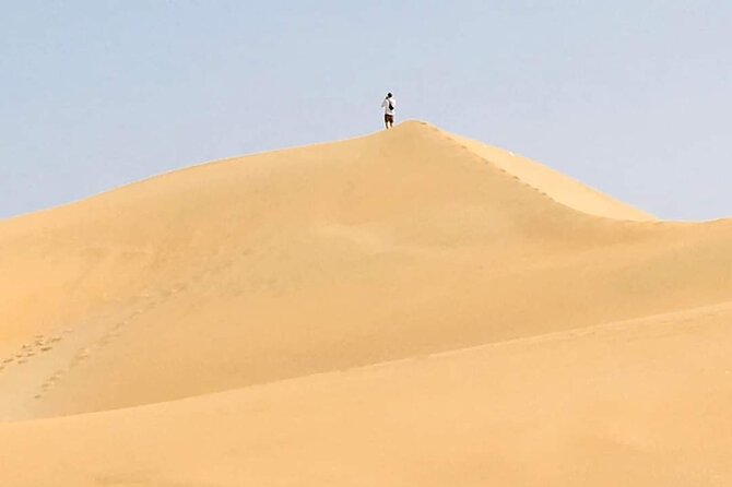Desert and Wild Beach Day Trip with Meal - Guides, drivers, and the private format