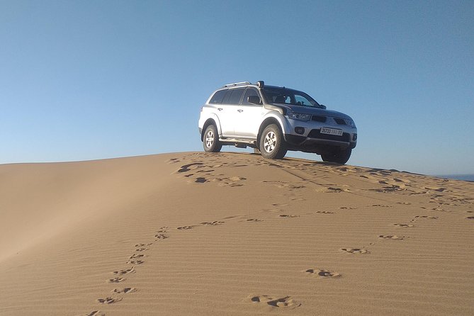 Desert and Wild Beach Day Trip with Meal - How much driving should you expect?