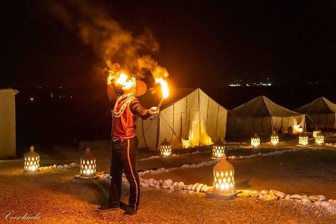 Desert D'Agafay Package - Quad, Dromedary and Dinner Show - Key points to know before booking