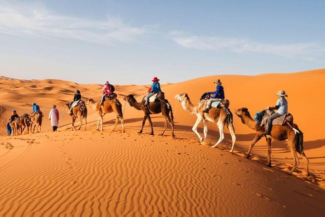 Desert Dreams Marrakech to Merzouga 3-Day Adventure - From Marrakech to the High Atlas