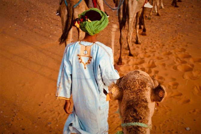 Desert Dreams Marrakech to Merzouga 3-Day Adventure - Camels, sunset, and the Merzouga dunes