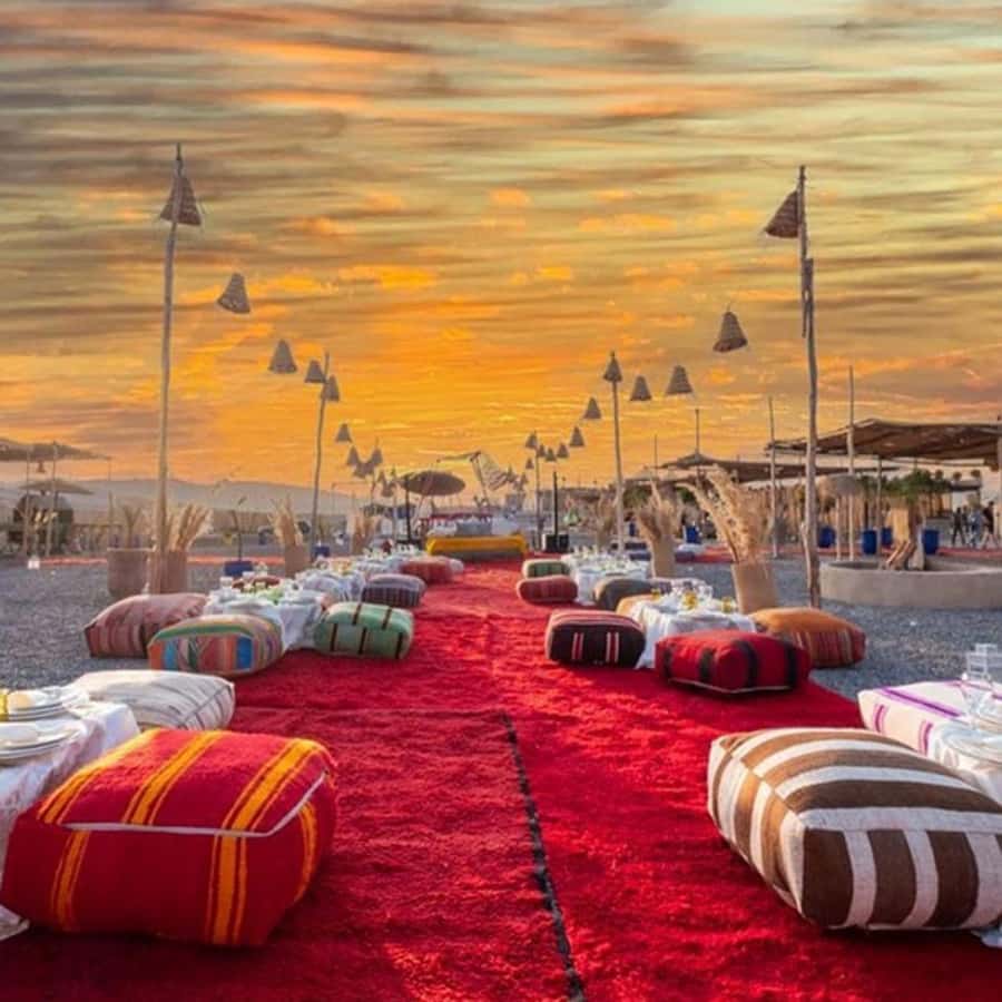 Desert night : ATV, Camel Trek sunset views & Dinner show - A Slower Camel Trek at Sunset