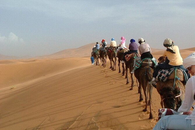 Desert Trip:Fès-Merzouga(1 Night)-Ouarzazat(1 Night)-Marrakech - Day one: Ifrane, cedar forest, and a very long run to Merzouga