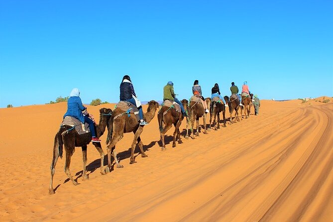 Desert Trip:Fès-Merzouga(1 Night)-Ouarzazat(1 Night)-Marrakech - Day three: Ait-Ben-Haddou and the Tizi n’Tichka pass