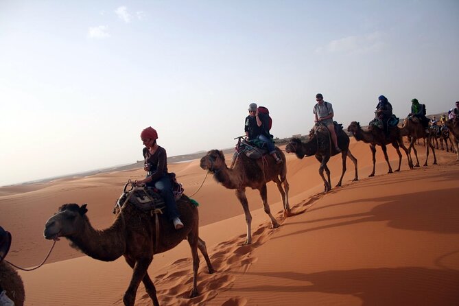 Desert Trip:Fès-Merzouga(1 Night)-Ouarzazat(1 Night)-Marrakech - Comfort, communication, and the human side