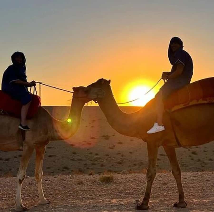 DINNER IN AGAFAY DESERT UNDER THE STARS WITH SHOW AND CAMELS - A 30-minute camel ride at sunset