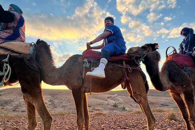 Dinner Show & camel ride with sunset views - Campfire music and the evening show