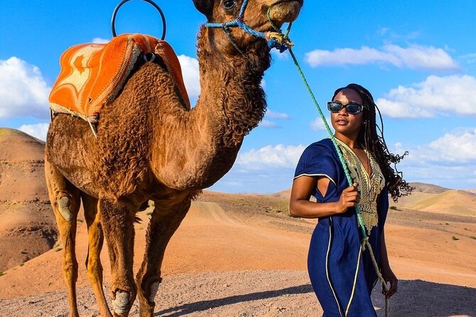 Dinner Show & camel ride with sunset views - The guides and the human side of the evening