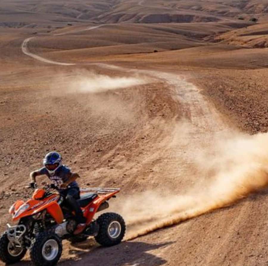 Dinner show in agafay Desert 1h quad bike & 20 min camels - Key points to know before you book