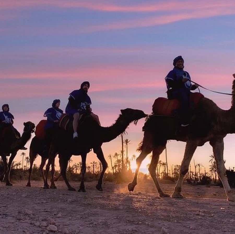 Dinner show in agafay Desert 1h quad bike & 20 min camels - Reaching Agafay from Marrakech in 45 minutes
