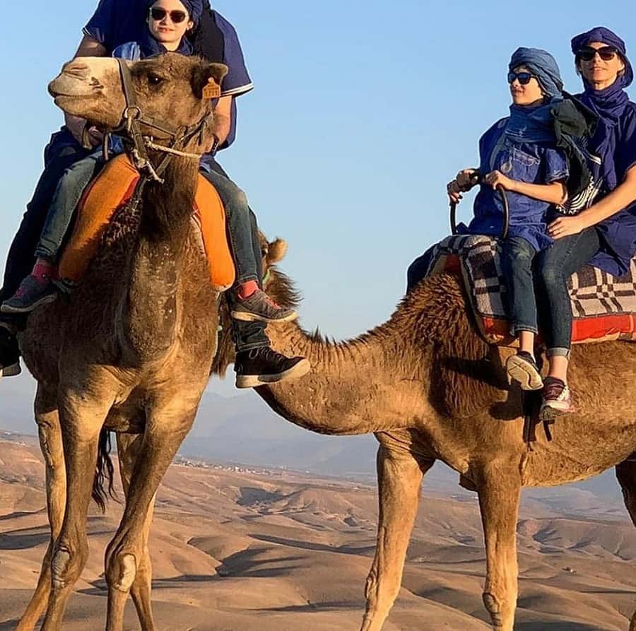 Dinner show in agafay Desert 1h quad bike & 20 min camels - Moroccan dinner under a candle-lit tent